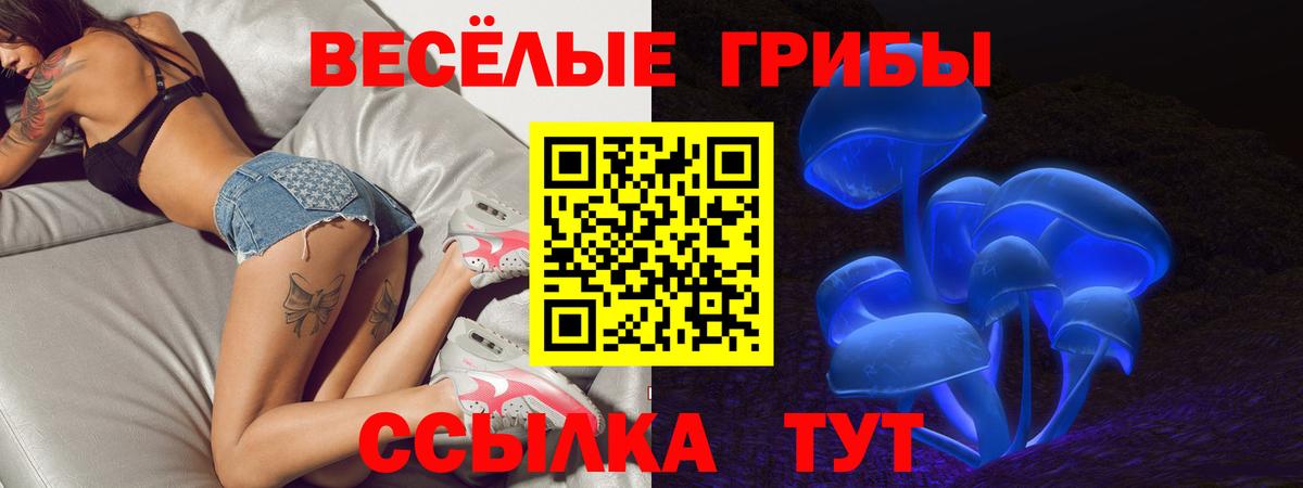 Псилоцибиновые грибы GOLDEN TEACHER  Псилоцибиновые грибы прущие грибы  Рыбинск  Вход с VPN 